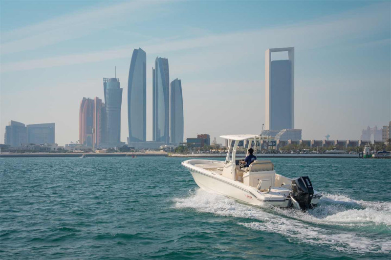 2024 Boston Whaler 250 Dauntless